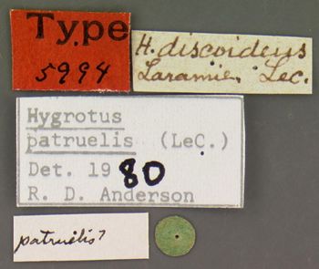 Media type: image;   Entomology 5994 Aspect: labels